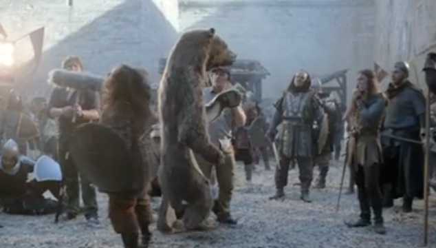 bear08