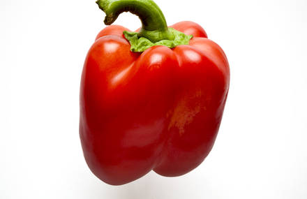 VEGETABLES FOR LIFE