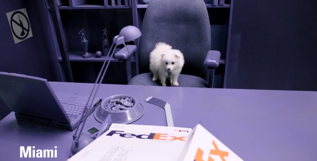 fedex-dominoes1
