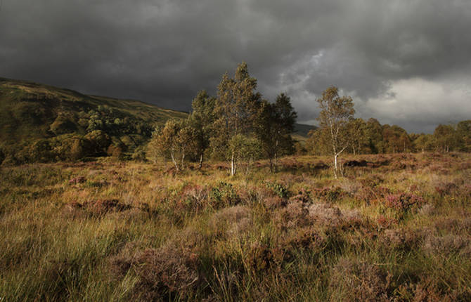 Highlands