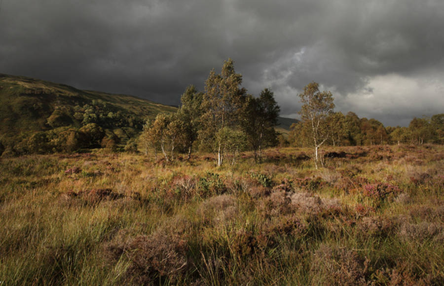Highlands