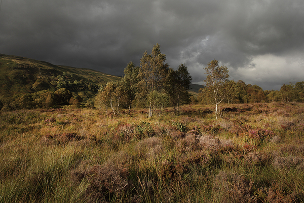 highlands11
