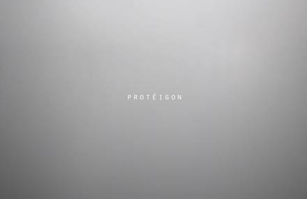 Proteigon