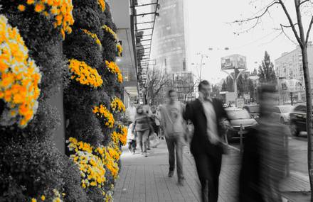 Kyiv in Motion / 2011 Timelapse