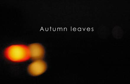 Autumn Leaves