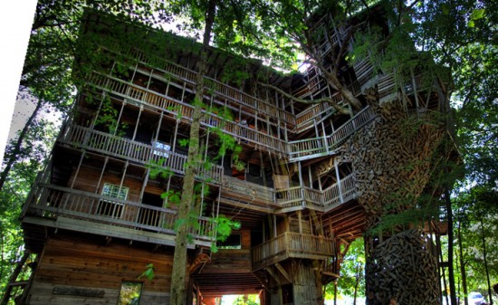 bigtreehouse1