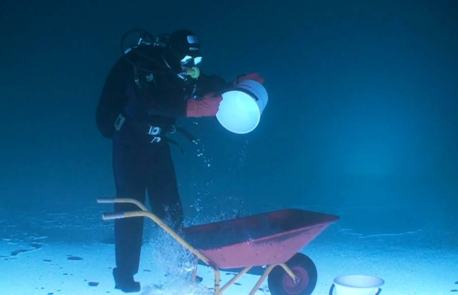 Fishing Under Ice