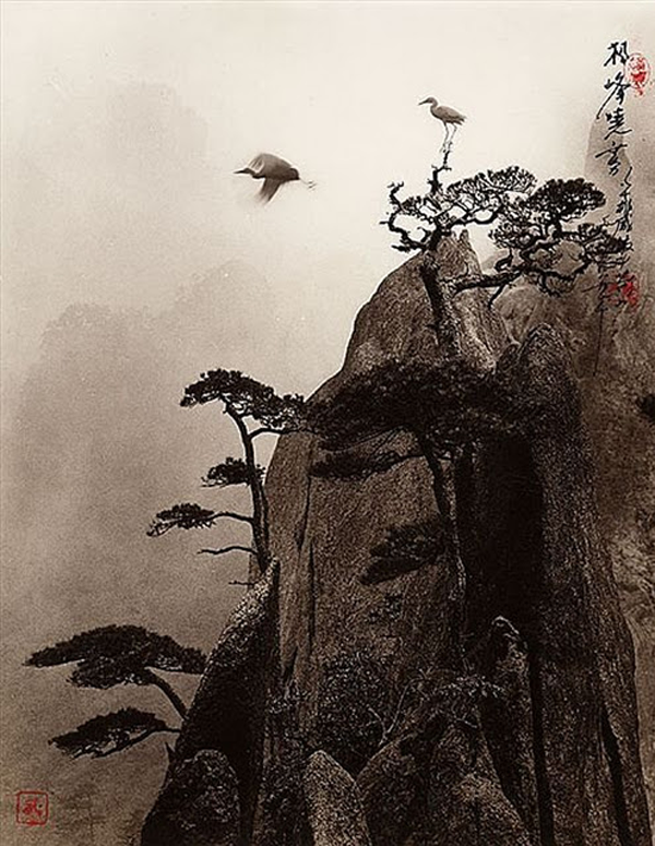 photography-chinese-paintings6