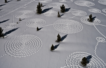 Snow Drawings