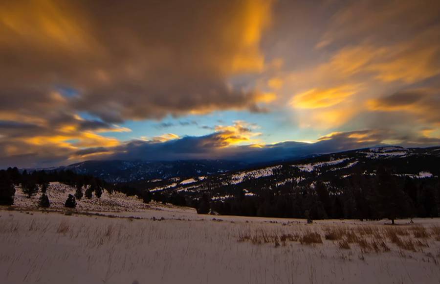 A Week in Montana