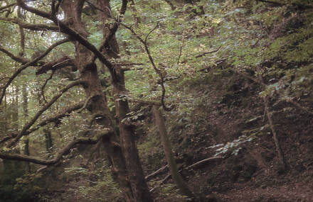 It&rsquo;s like playing Hide and Seek – an interactive videoclip
