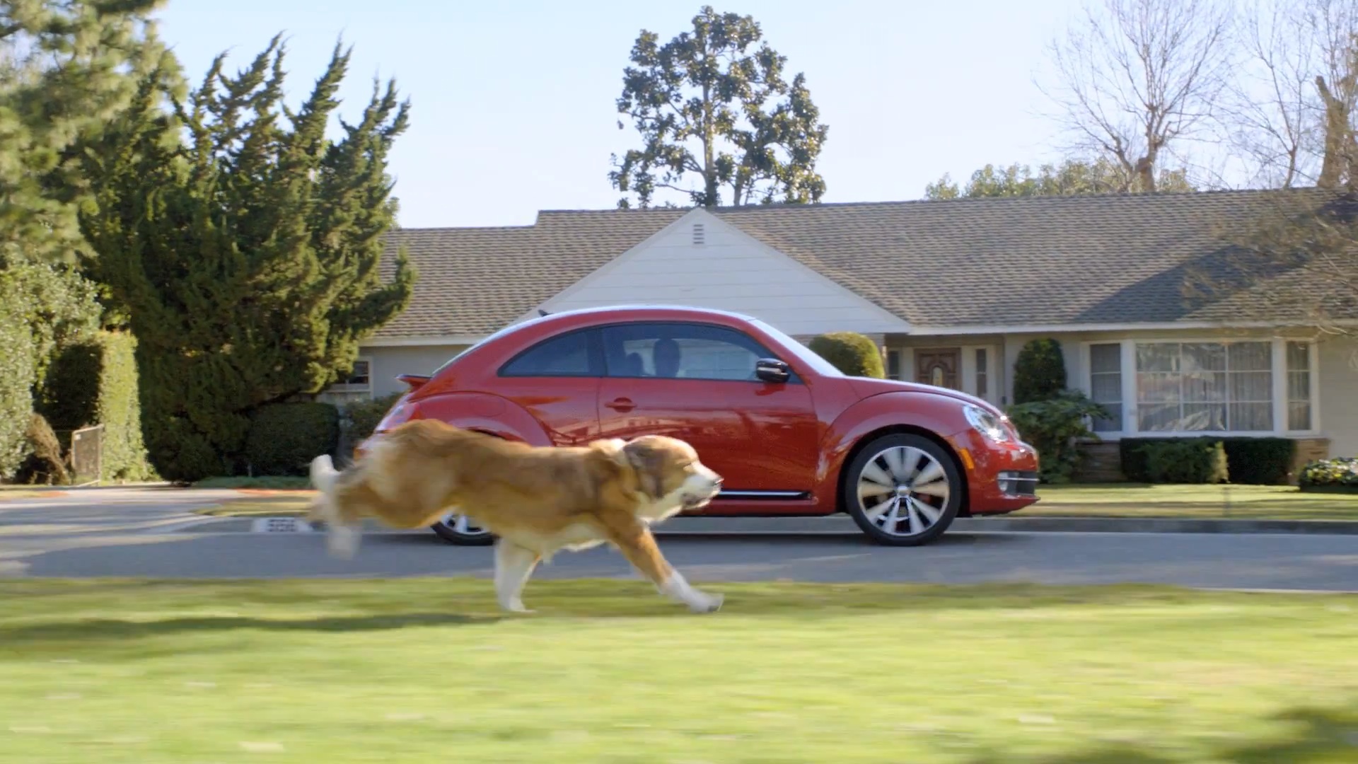 volkswagen-the-dog-strikes-back6