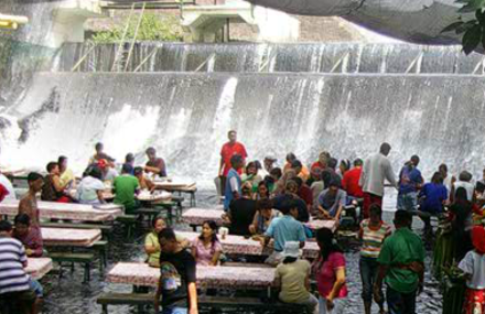 Waterfall Restaurant