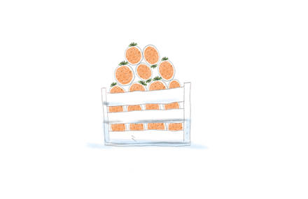 Terre des hommes – Les oranges virtuelles