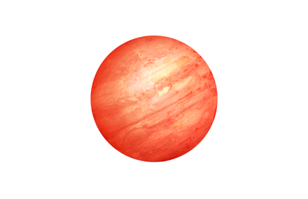 Web & ID for Event Agency Citrus