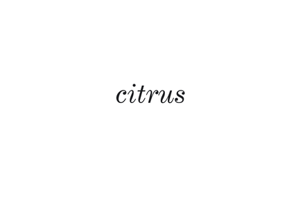 Web & ID for Event Agency Citrus