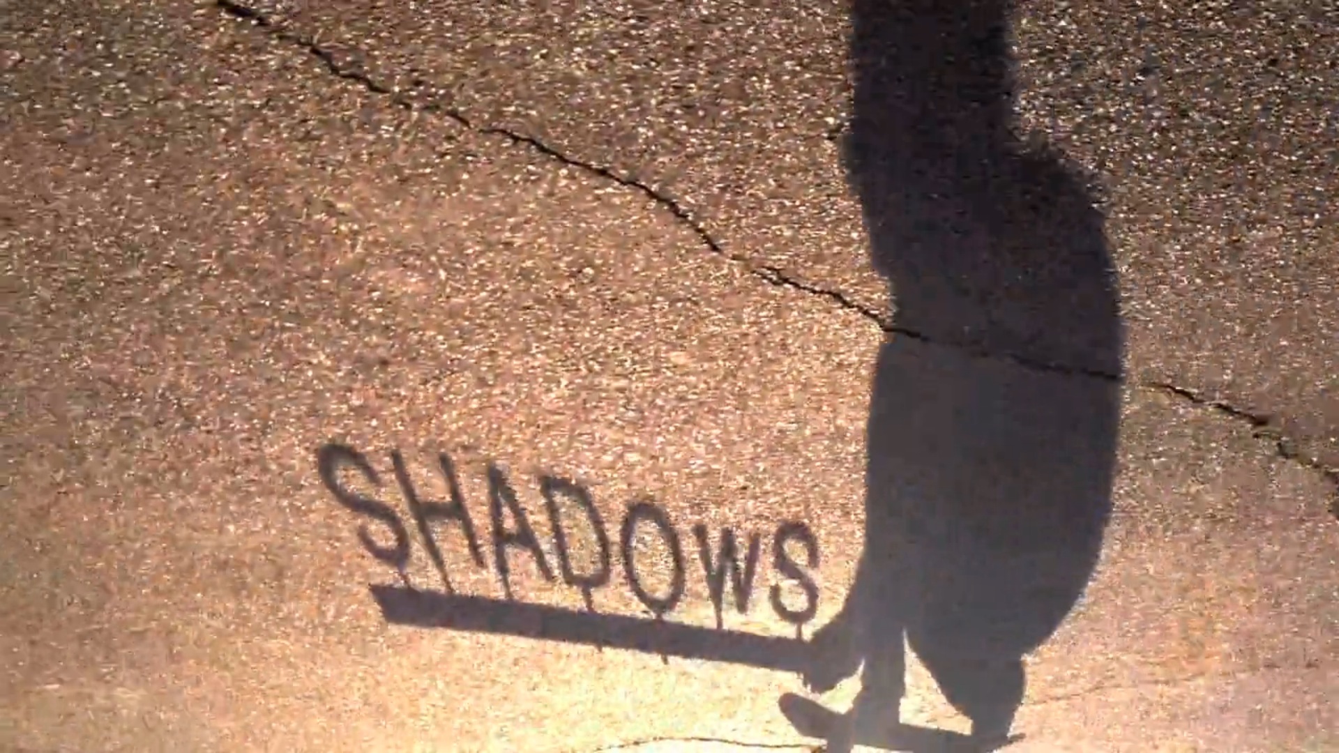 Shadow to Life6