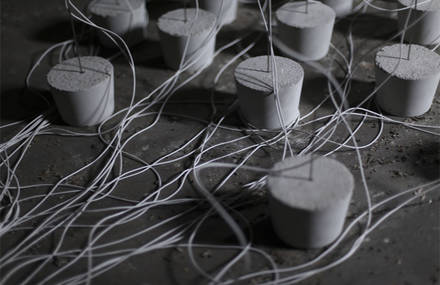 growing lampshades