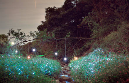 Lee Eunyeol – Light Installations