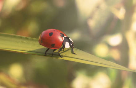 Publicité FERTILIGEN – Naturen – Making of