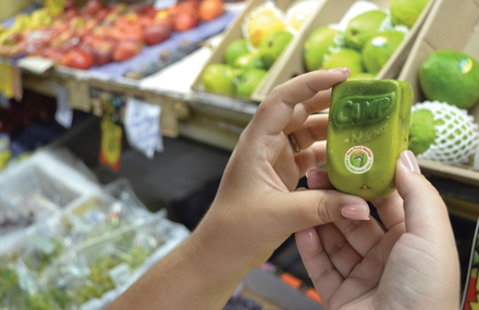 Box-shaped fruit