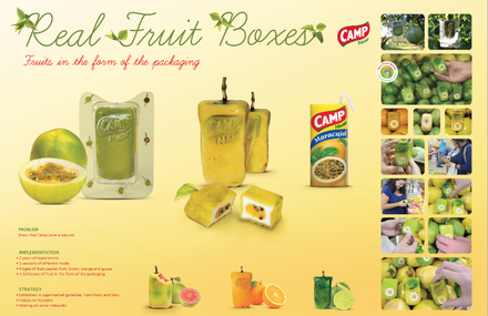 Box-shaped fruit