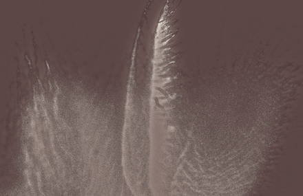 Bipolar: between analogical and digital