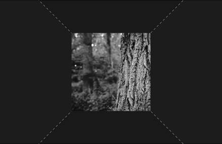 Ryan Davis – Dragonheart