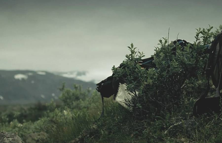 A Walk in Nature