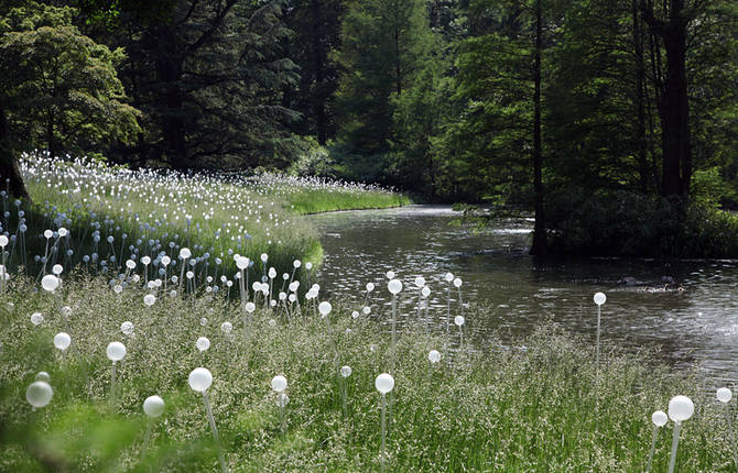 Bruce Munro Lights