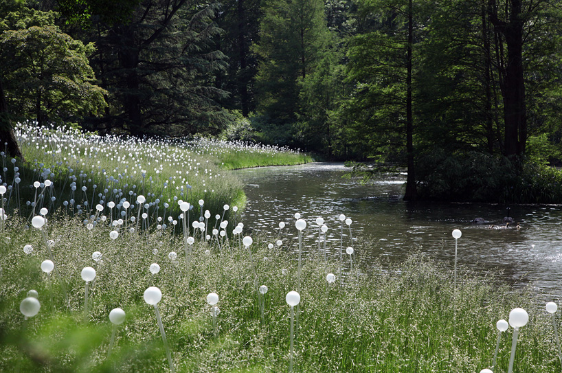 Bruce Munro Lights1