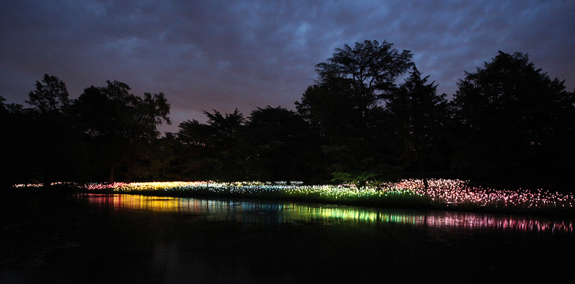 Bruce Munro Lights13