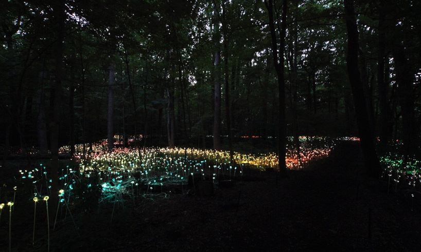 Bruce Munro Lights15