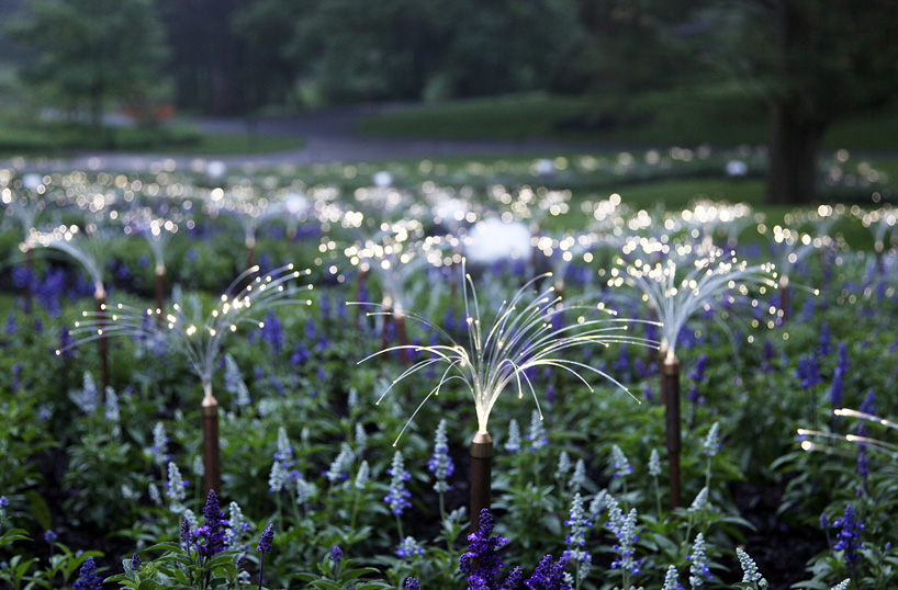 Bruce Munro Lights2