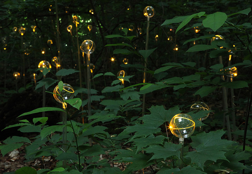 Bruce Munro Lights6