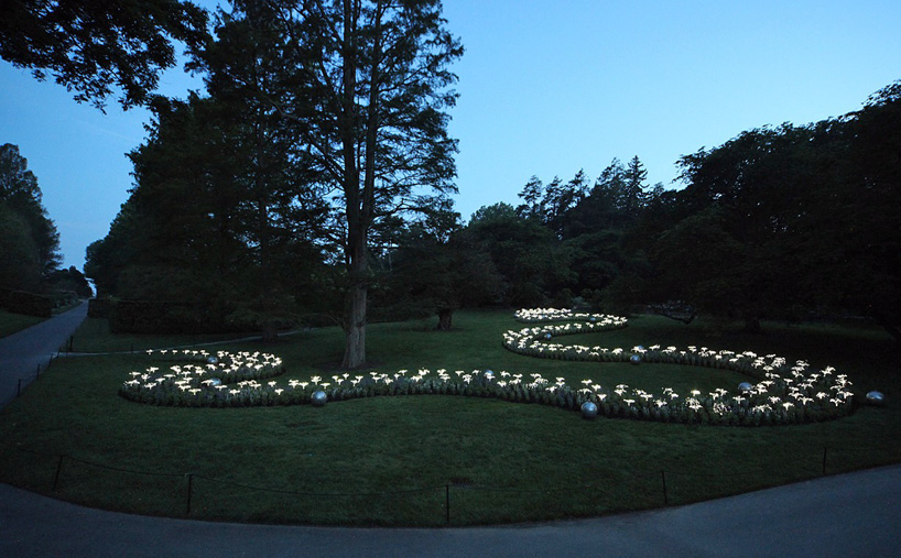 Bruce Munro Lights7