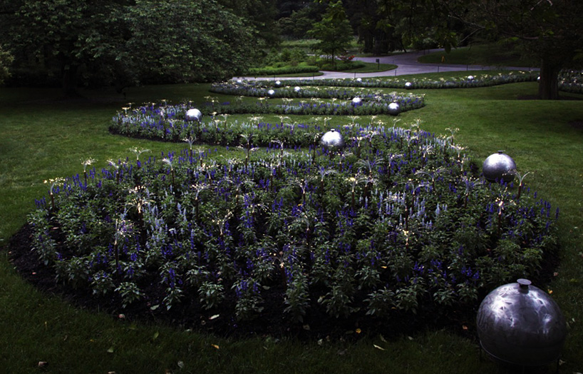 Bruce Munro Lights8