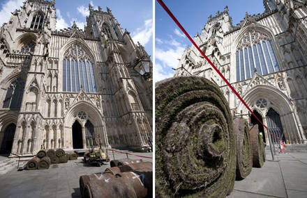 Cathedral Interior Covered in Grass