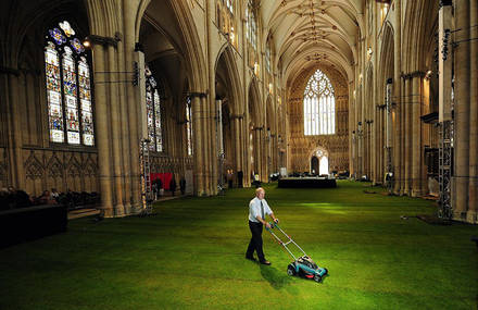 Cathedral Interior Covered in Grass