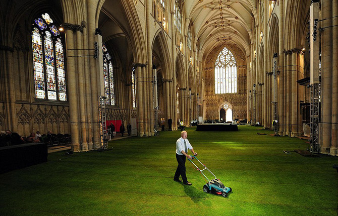 Cathedral Interior Covered in Grass