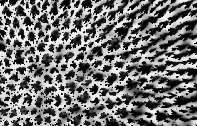 Emergence