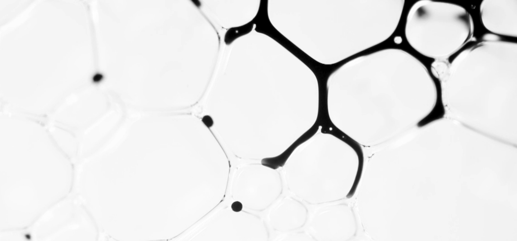 Emergence2