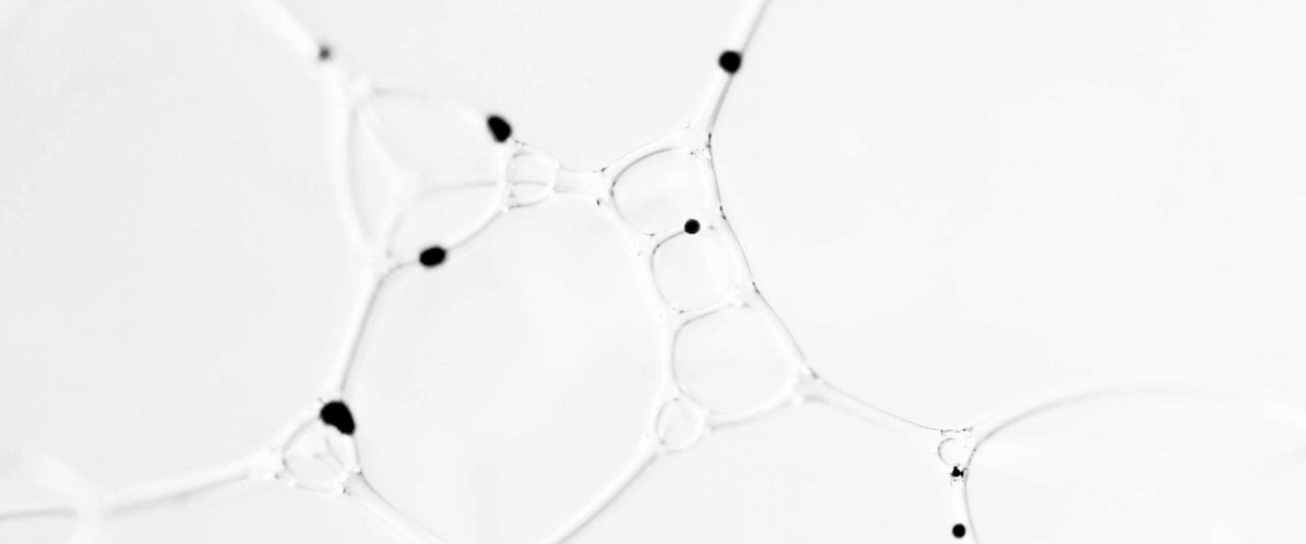 Emergence3