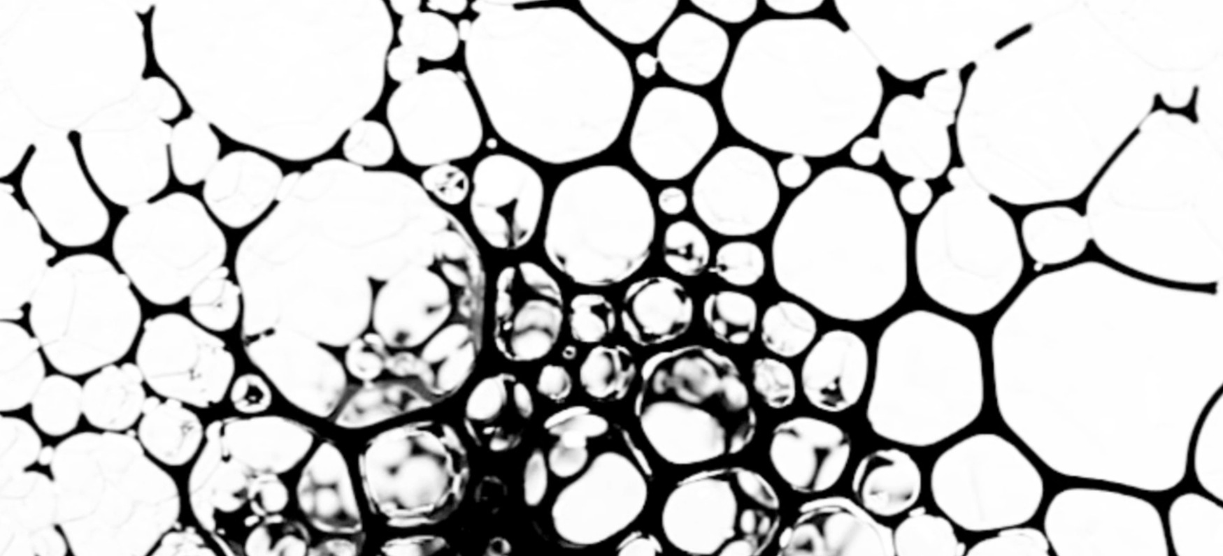 Emergence4