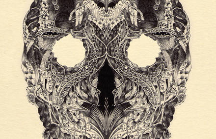 Macroscopic Skulls