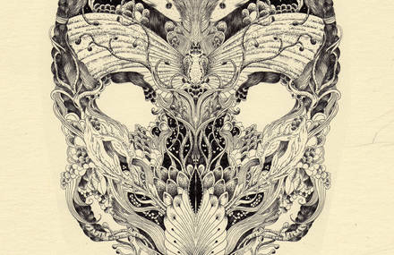 Macroscopic Skulls