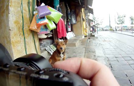16 days in Vietnam (A GoPro fixed on a 5DmarkII)