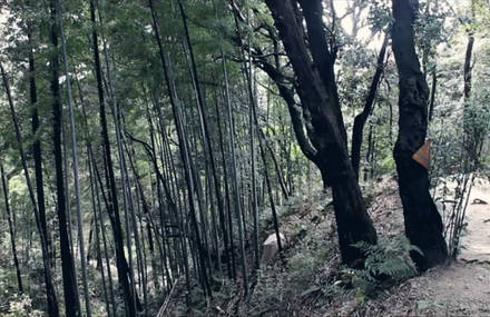 Kuchidomeryou – a short film about Post-Fukushima