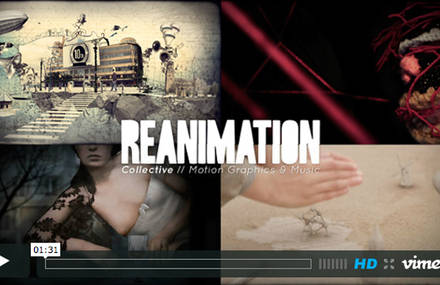 Showreel REANIMATION 2012