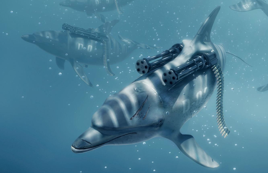 Sea Shepherd Campaign